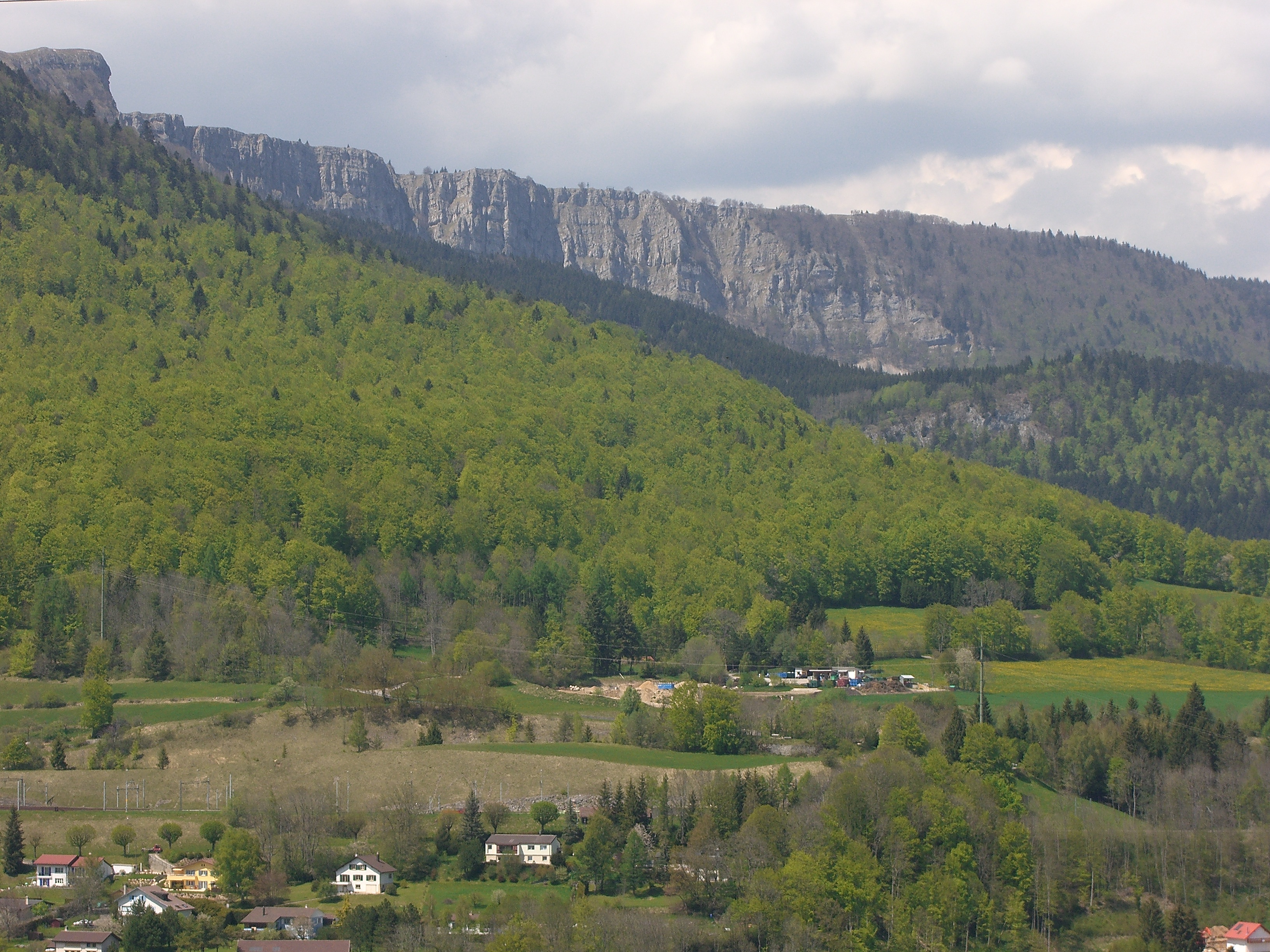 Paysage de Vallorbe